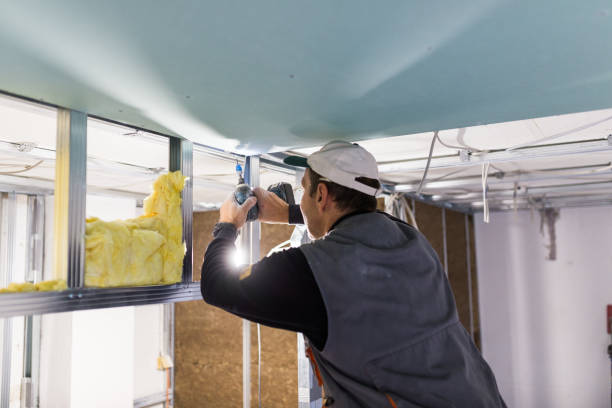 Best Wall Insulation Contractor  in Manteno, IL