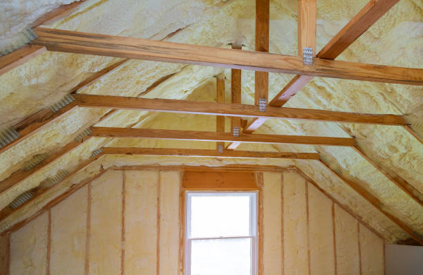 Best Insulation Inspection Services  in Manteno, IL