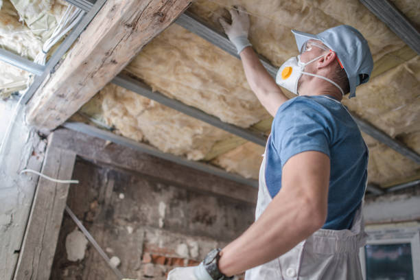 Best Fiberglass Insulation  in Manteno, IL